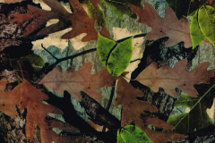 WTP-206 Tru Woods Camo