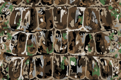 WTP-885 BullGator Camouflage