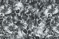 WTP-1076 Silver Skulls