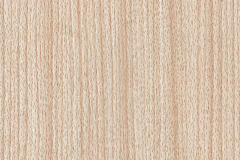 WTP-223 Red Oak