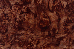 WTP-228 Carpathian Elm Burl