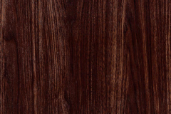 WTP-491 Eastern Dark Walnut