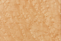 WTP-501 Birdseye Maple