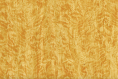 WTP-622 Caramel Cross Grain